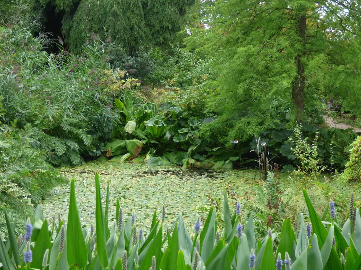 Rock Garden and Pool - Birmingham Botanical Gardens (September 2019)